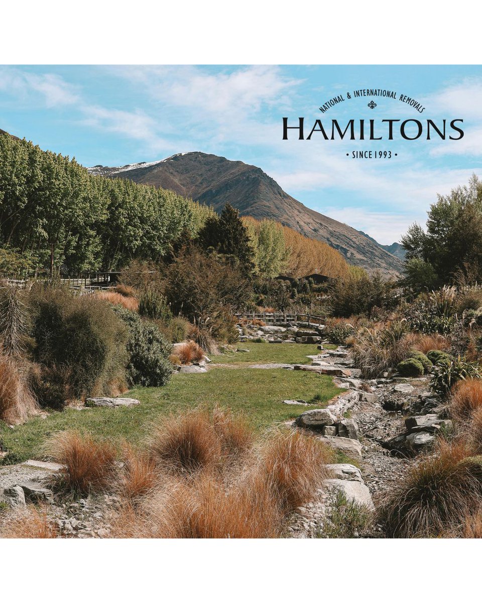 Hamiltons Removals tweet media