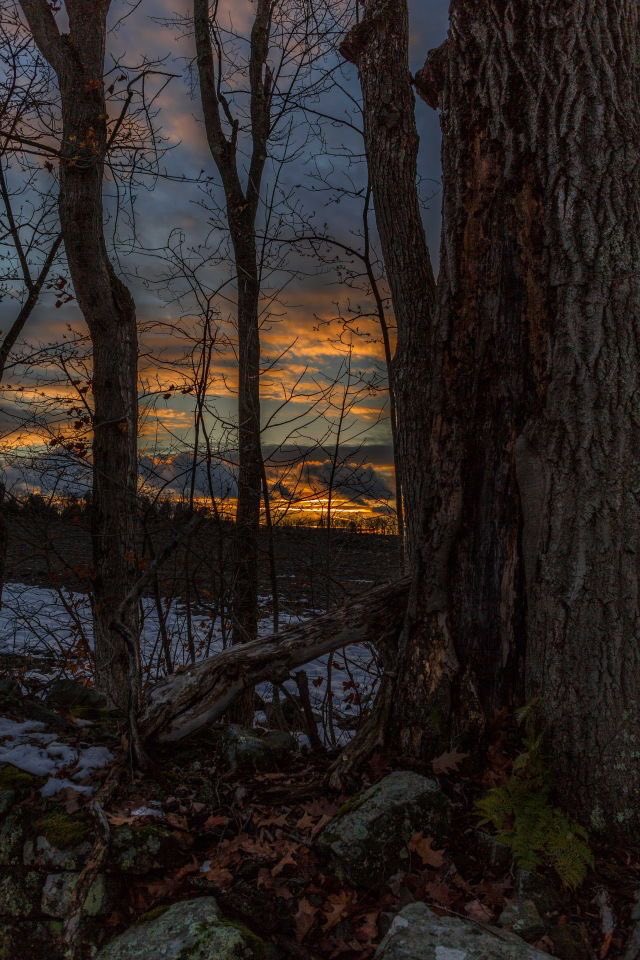 salt (@ancilladominii) on Twitter photo 