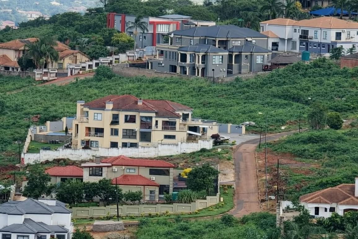 Zimviral 𝕏 tweet media