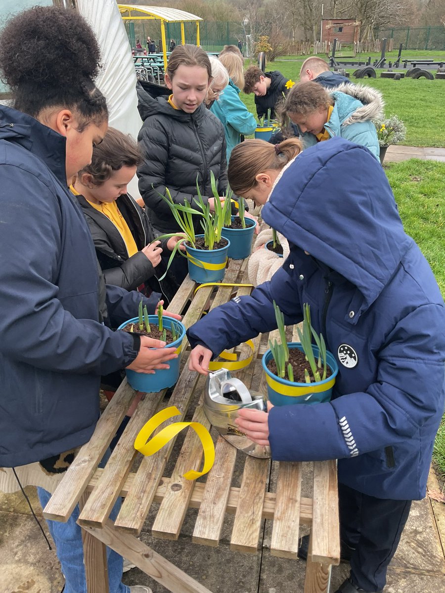 Andrew Clark tweet media