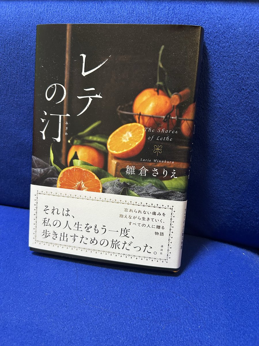新刊『レテの汀』をめぐり雛倉さりえさんに長めのインタビューをしました。本作は雛倉さんの過去作からの連続性と新境地となる部分が詰まった小説だと思います。癒えることのない罪の意識を背負った人間が、その傷といかに向き合うのかという問いに誠実な、じつに誠実な言葉で答えようとする作品です。
