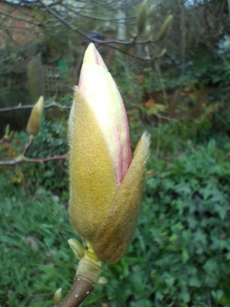 Kelly Swallow tweet media