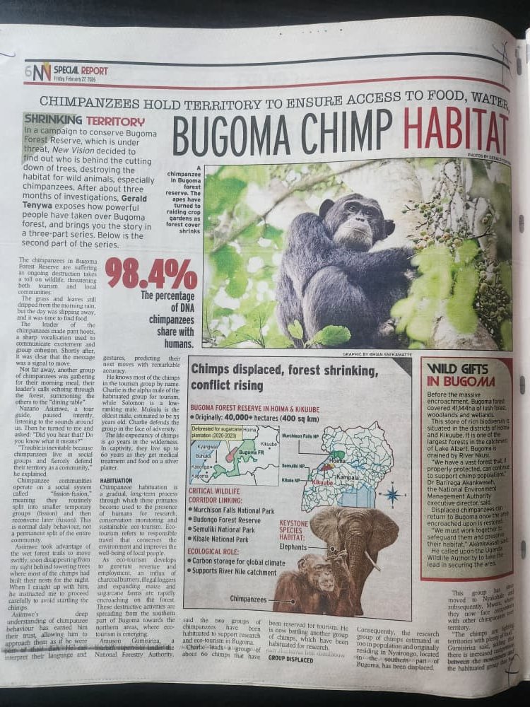 AfiegoUg's tweet photo. 🌴Bugoma chimp habitat hangs in the balance 
😯Agricultural activities such as sugarcane growing by @HoimaSugar are decimating the forest.
🪔So are charcoal burning and maize growing.
🌳Previously intact sections of the forest are now being destroyed.
🛑This must stop! https://t.co/Kg4GvQdLmM