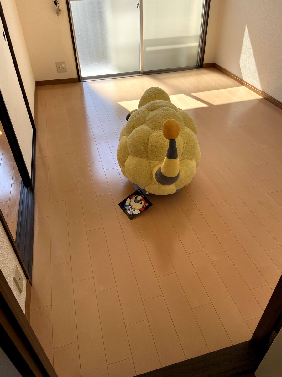 ぴかちょ tweet media