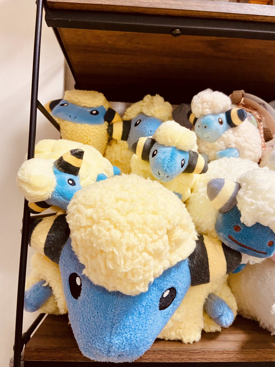 ぴかちょ tweet media