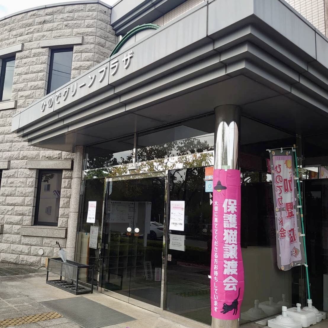 陽だまり猫の会－東京都あきる野市－ tweet media