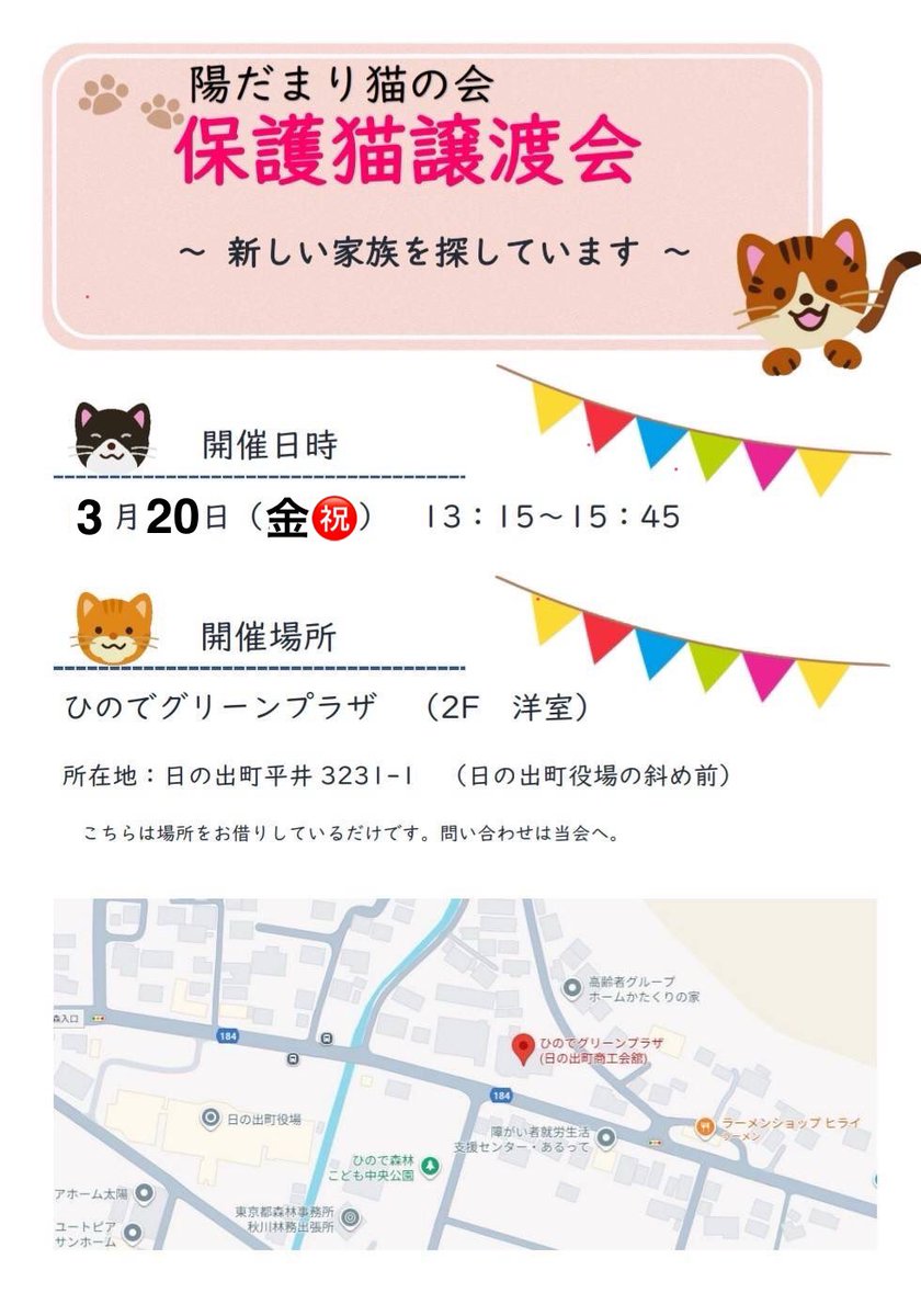 陽だまり猫の会－東京都あきる野市－ tweet media