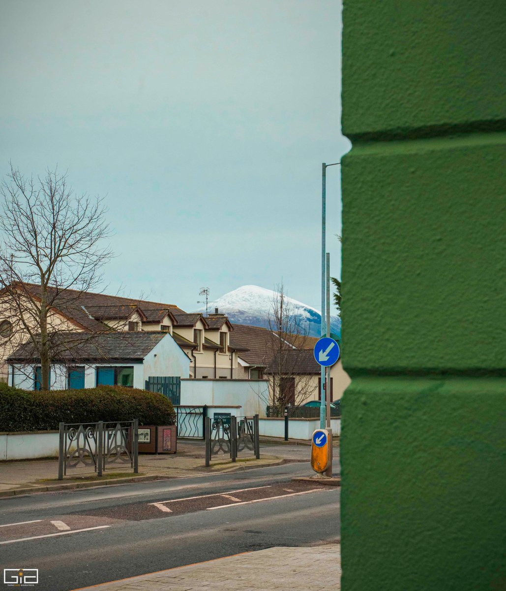 Gia homemade productions tweet media