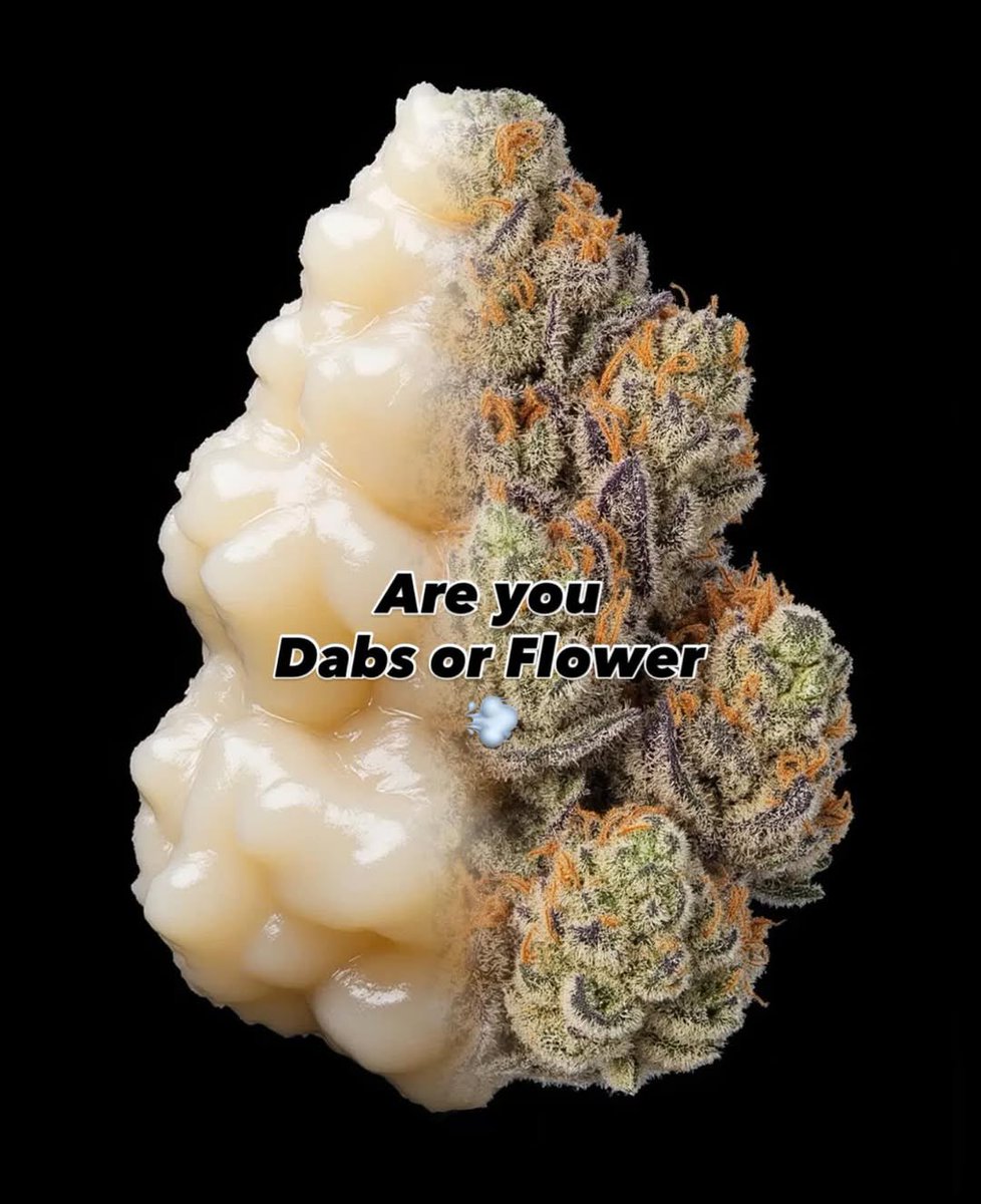 PremiumZaUs's tweet image. Friend: You good?
Me: Just having a deep conversation with this burrito 🌯😂
#StonerVibes #HighAF #WeedHumor #SnackKing #420Meme