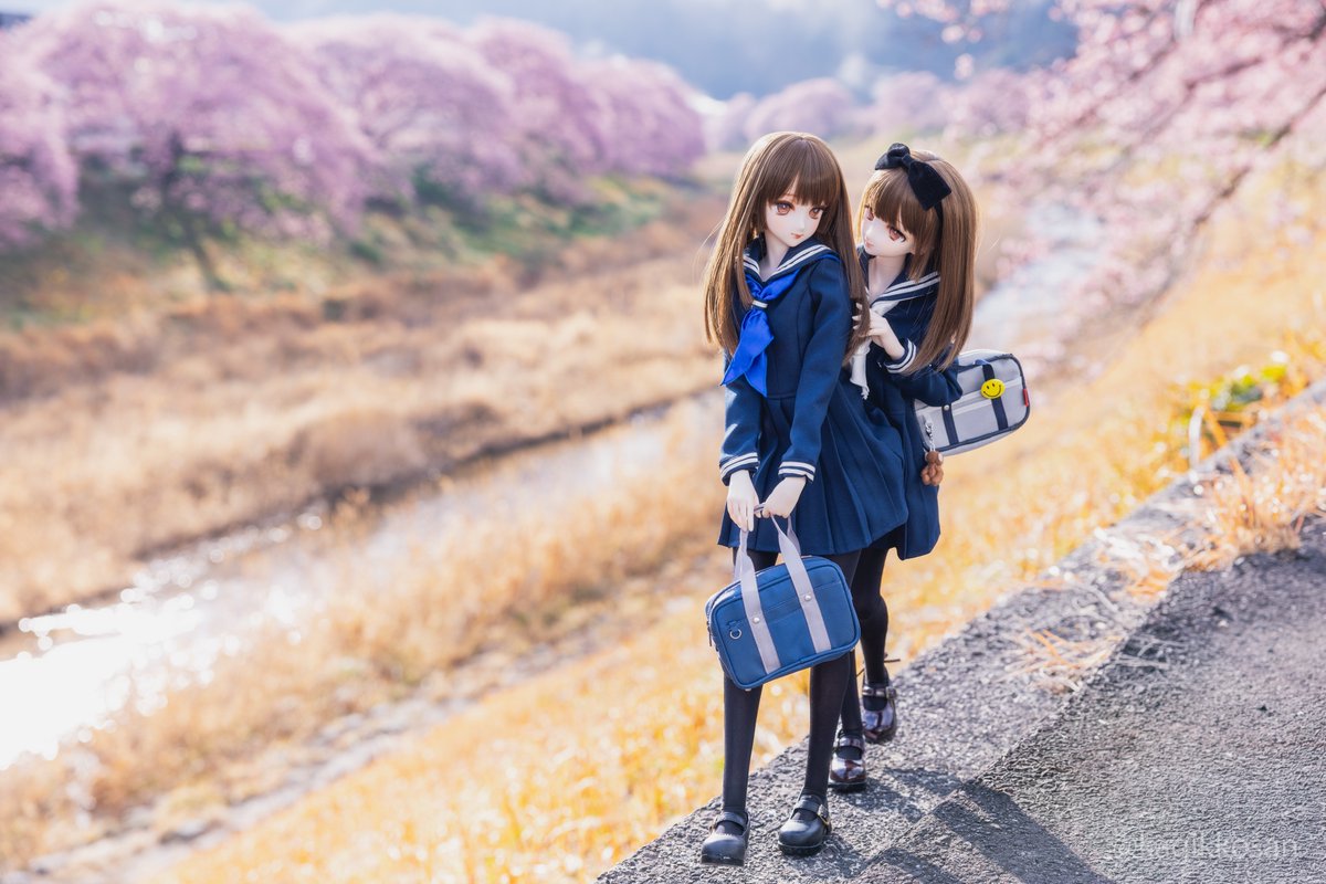 桜満開の通学路🌸🌸
#nar_noir_doll 
#TOAClaris