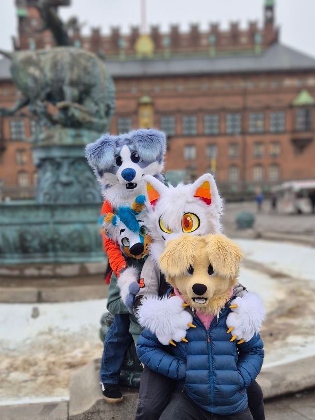 🏴󠁧󠁢󠁷󠁬󠁳󠁿 Kodi 🏳️‍🌈 tweet media