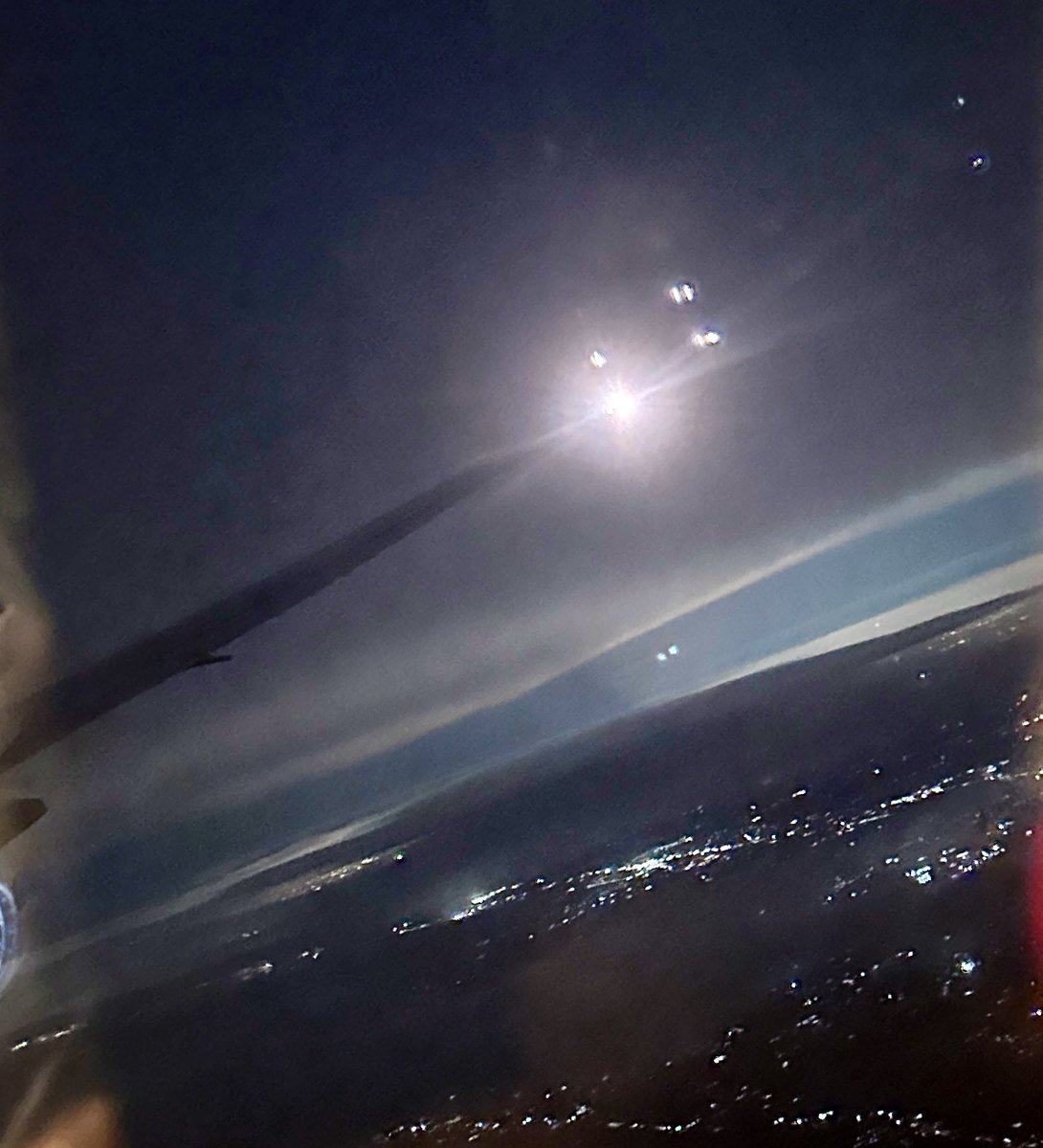 Dmyo:白羽奈尾: (@dmyomyo) / Posts / X