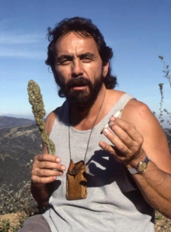 Canna World tweet media