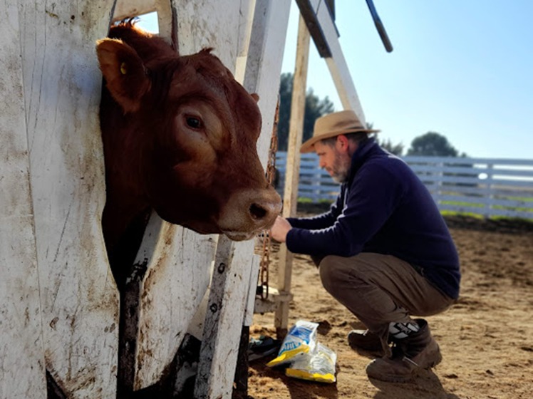 INTA Informa tweet media