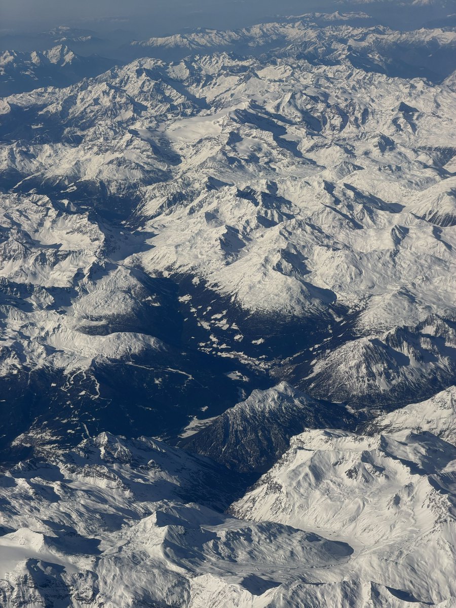 rly cool girl tweet media