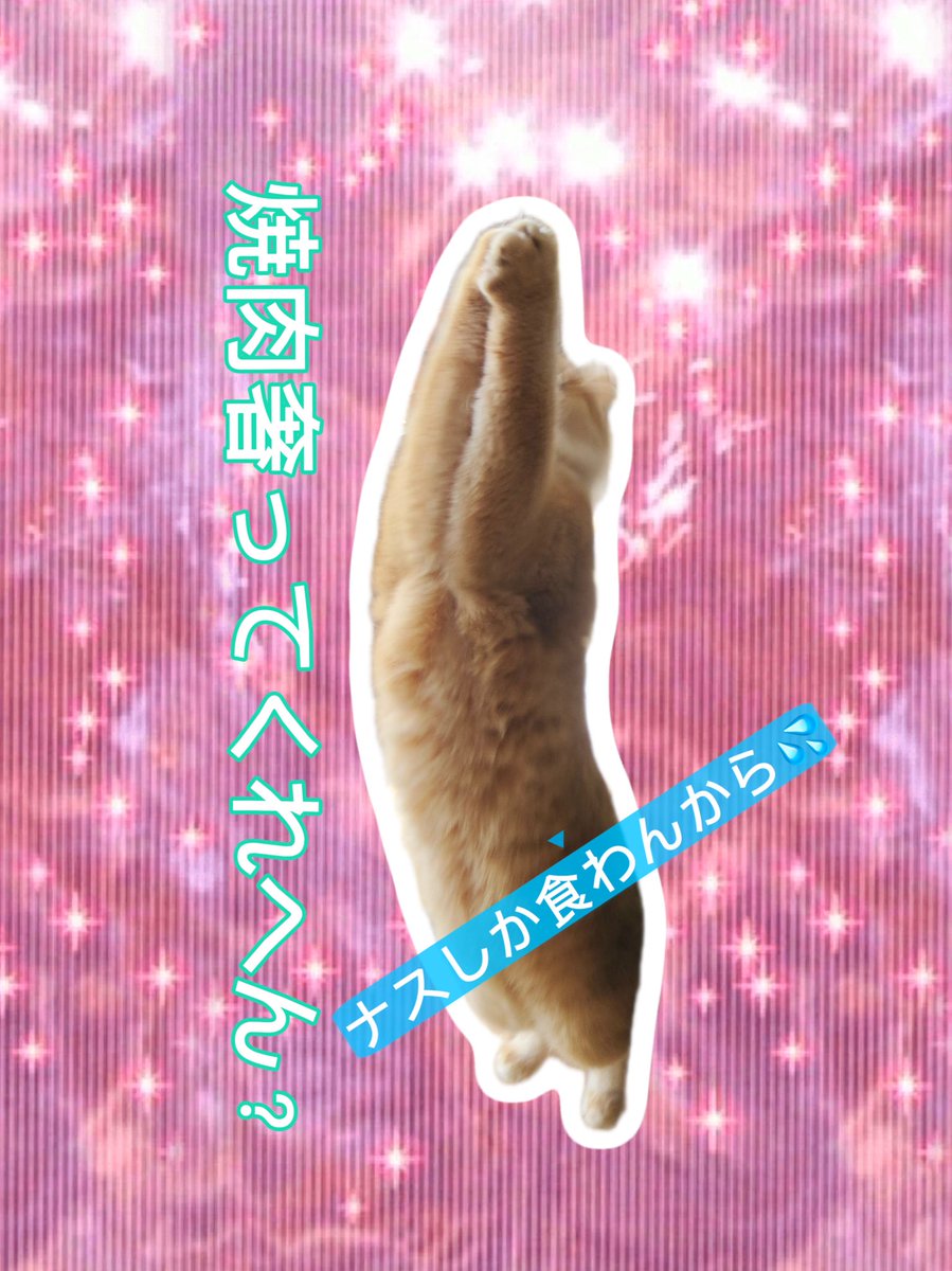 yasai_oishi_zo's tweet photo. お肉様のLINEスタンプ、飼い主さんも快く承諾してくださり、やっと作成いたしました！
私だけだと使い勝手0みたいなのしかできないので、ストーリーでアンケートとり日常的に使えるのも入れました！答えてくれた方ありがとう😭
とりあえず使い道ない案途中のをどうぞ

お誕生日までに承認間に合え〜🎂 https://t.co/RNVMxsiEJm