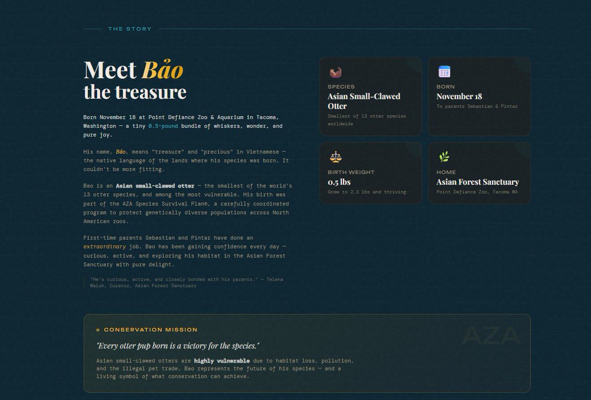 年轻富有的中国人 tweet media