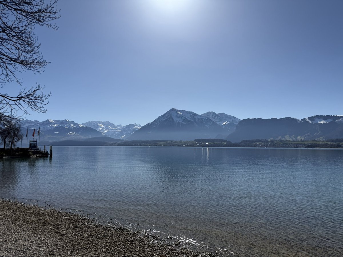 Matthias tweet media