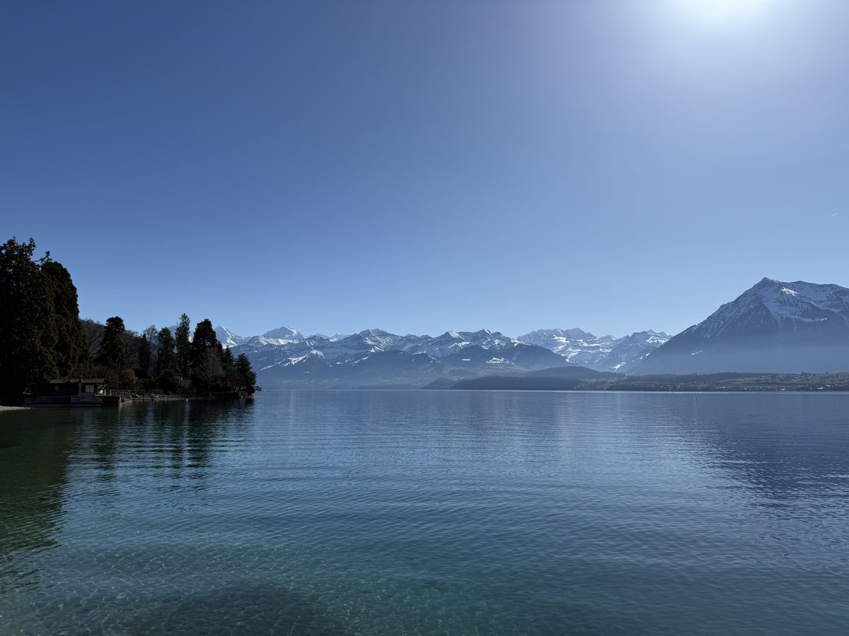 Matthias tweet media