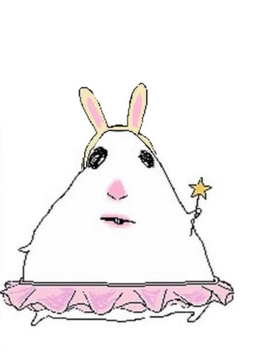 کاقاملا tweet media