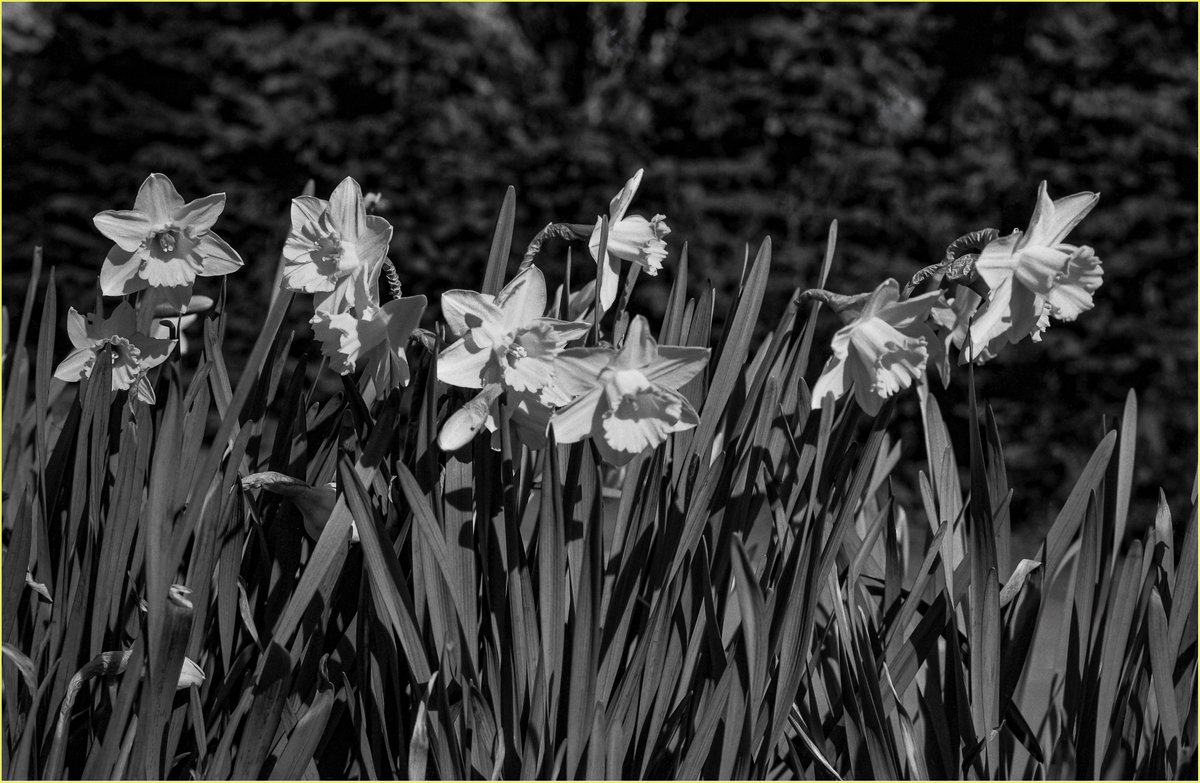 Steve Edwards #The Smoking Photographer tweet media