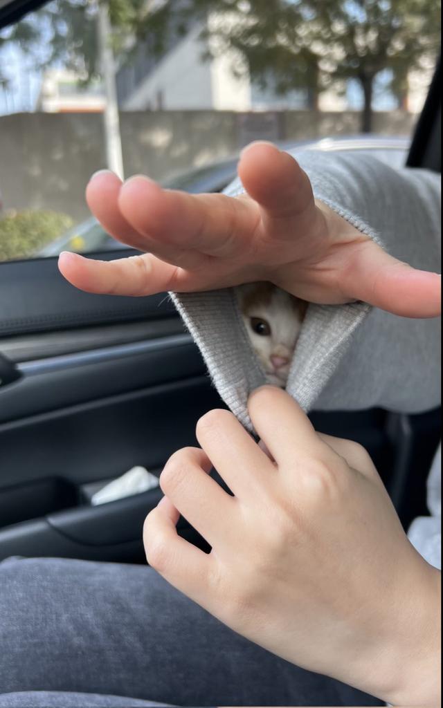 🟥 ☫ 🟩 Avvab133𓂆 tweet media