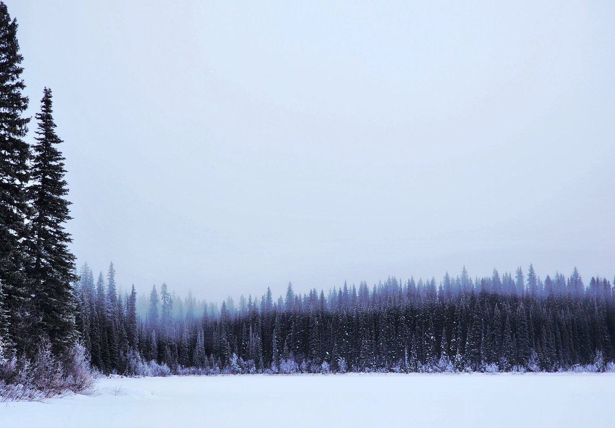 dave🏴 tweet media