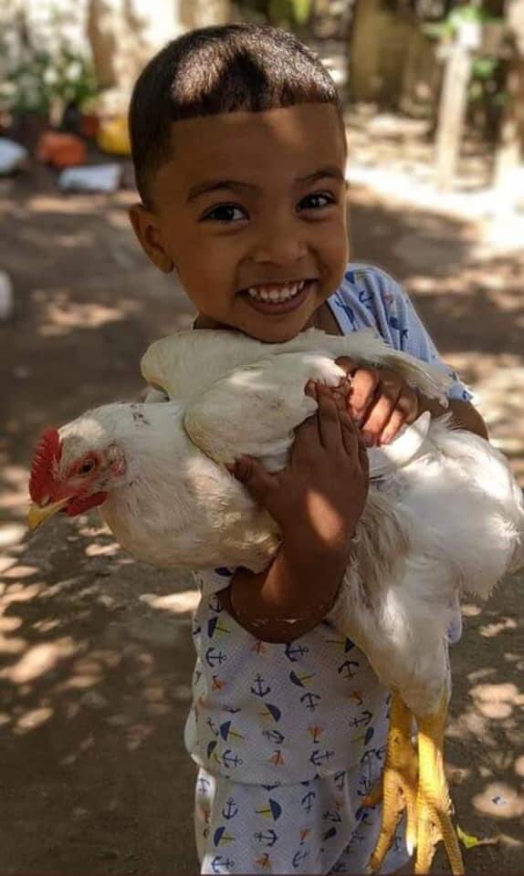 L E S E D I tweet media