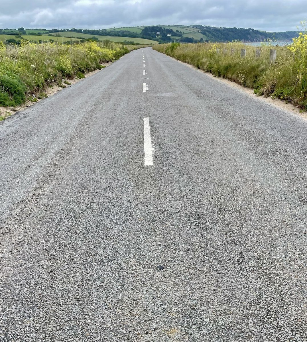 Start Bay Inn tweet media