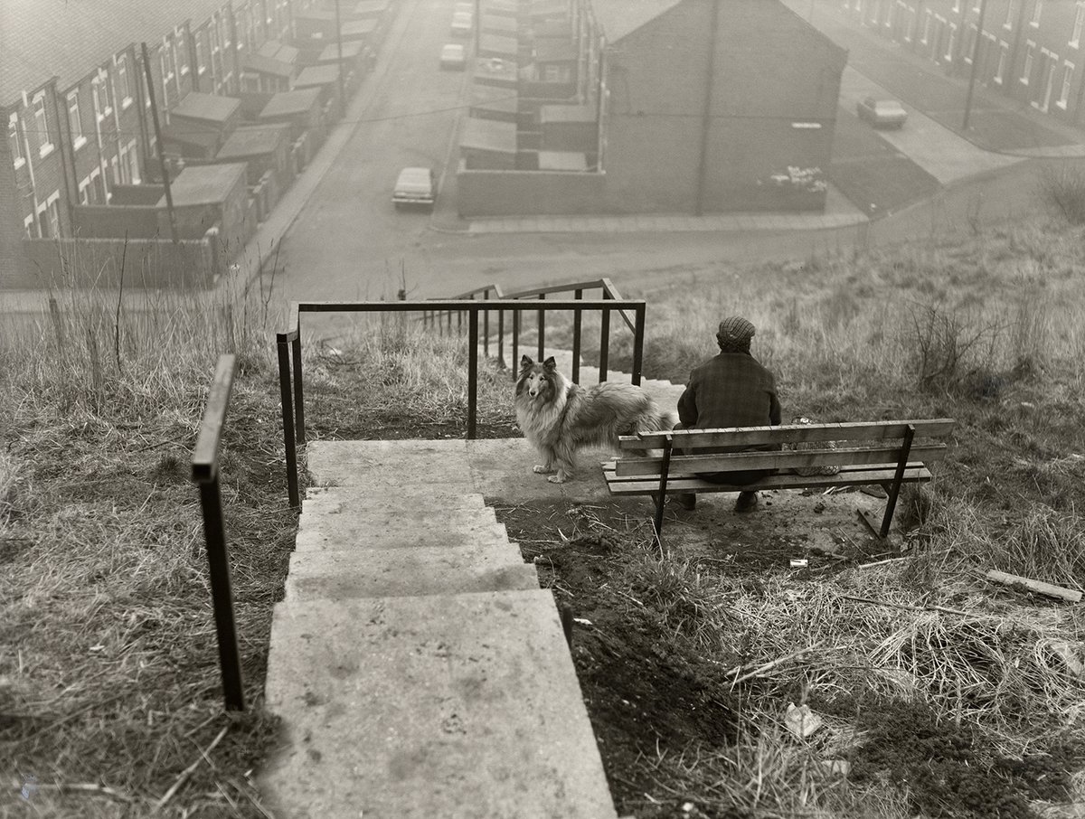 Side Gallery tweet media