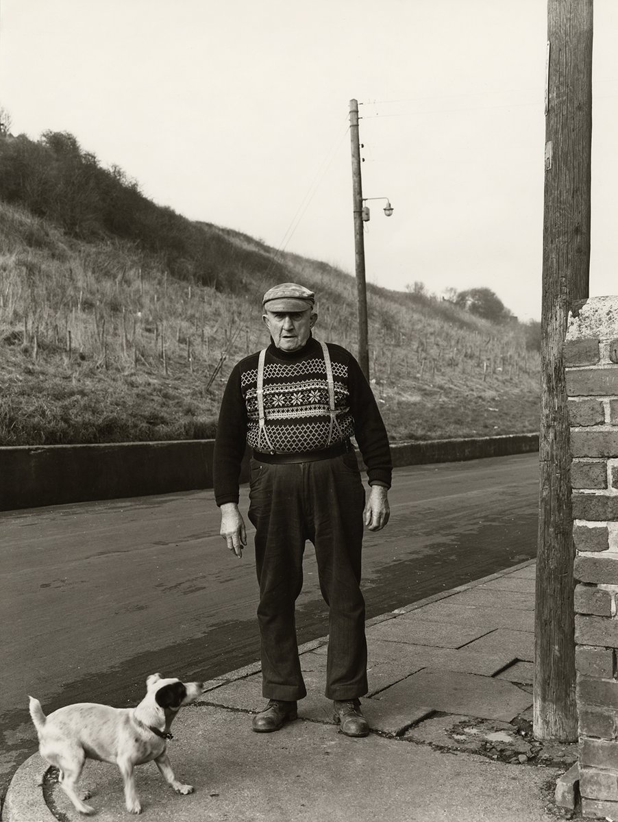 Side Gallery tweet media