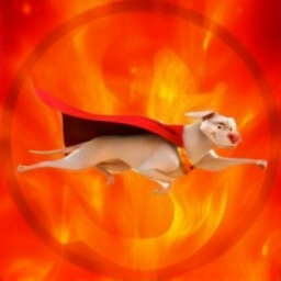 dogsuperhero's tweet photo. phase 1 burn for february 2026 periode
https://t.co/fm47C5CRbk
existing token supply updated 1.991.109.929 https://t.co/mJ4DehHHl5