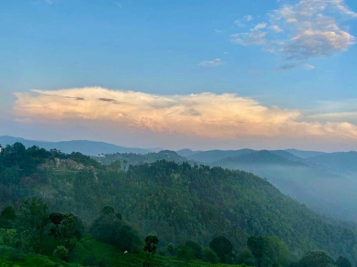 Anuradha Tiwari tweet media