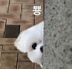 땅콩๑ tweet media