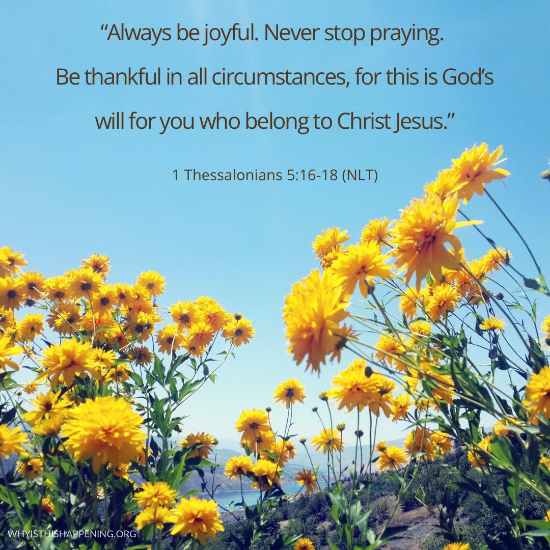 PeopleStoryGod's tweet image. “Always be joyful. Never stop praying. Be thankful in all circumstances, for this is God’s will for you who belong to Christ Jesus.” ~ 1 Thessalonians 5:16-18 (NLT)

whyisthishappening.org/stories/
#withGOD #whyisthishappening #neverstoppraying #thankful #joyful