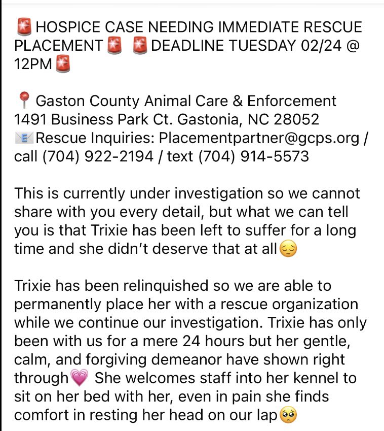 It’s 5 Friday?
The odds were stacked against Trixie.
Senior
Significant medical needs
Cruelty survivor 
We saved Trixie on her deadline day.
She only had 3 small pledges &amp; needs 2 big masses removed.
Trixie matters.
If you’d like to help we thank you! ♥️
rescuecoop.org/donate