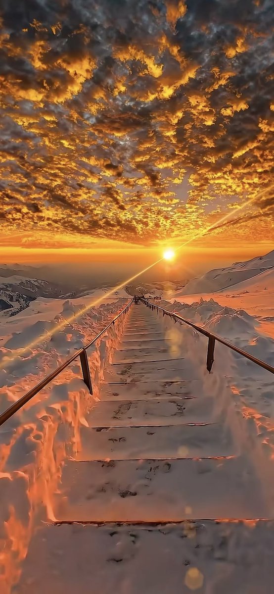 naturebeautyh tweet picture
