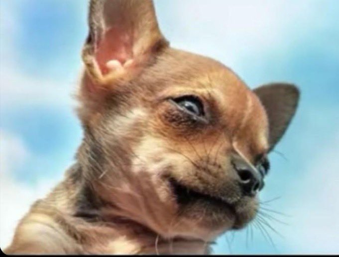 Why do we Wash our white clothes before washing the black ones, isn't that racism ?