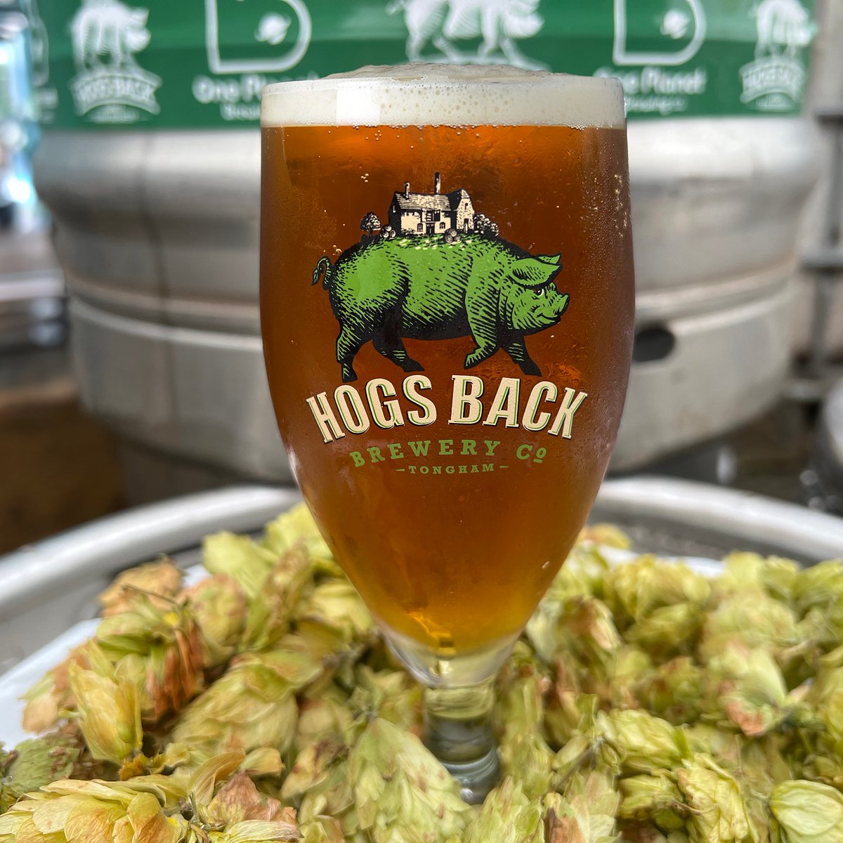 Hogs Back Brewery tweet media