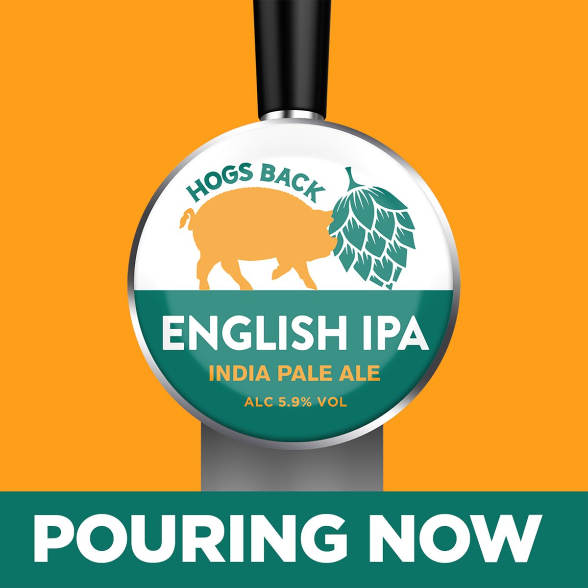 Hogs Back Brewery tweet media