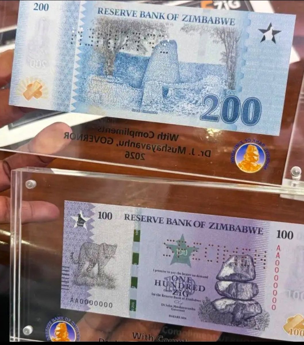 TellZim News tweet media