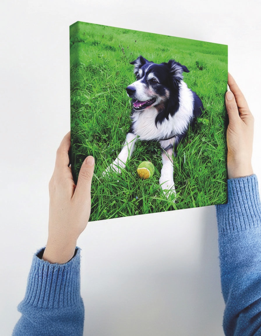 vimercatiGrafic's tweet photo. arreda la tua casa con #fotoQuadri in qualsiasi dimensione #photoCanvas #canvas https://t.co/zegBzSrTYG