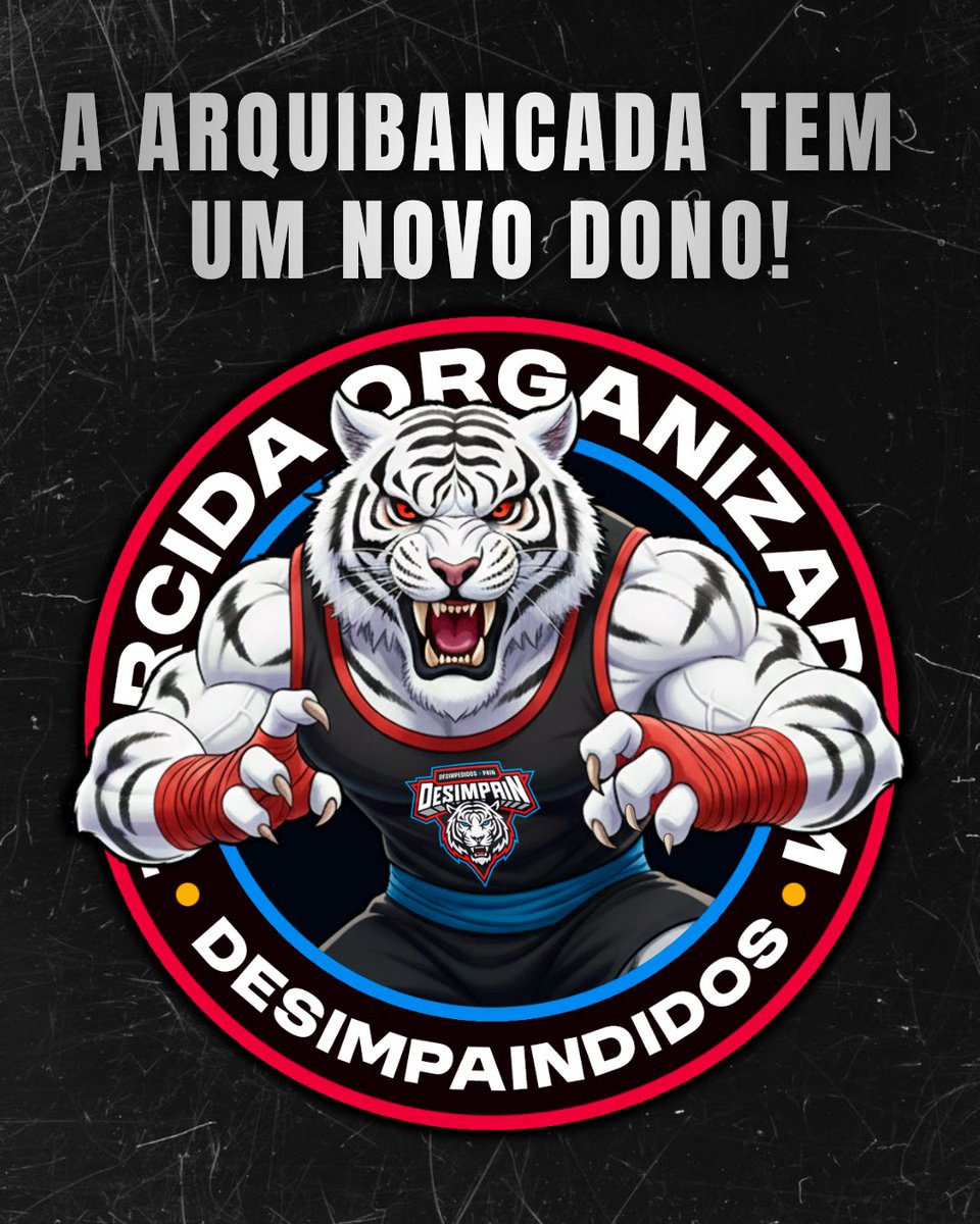 Torcida Organizada DesimpaiNdidos tweet media