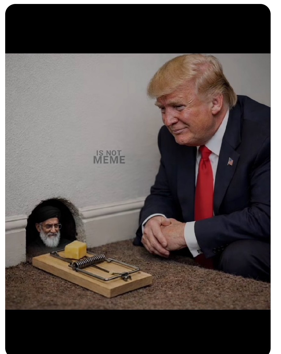 H,o A,v,i tweet media