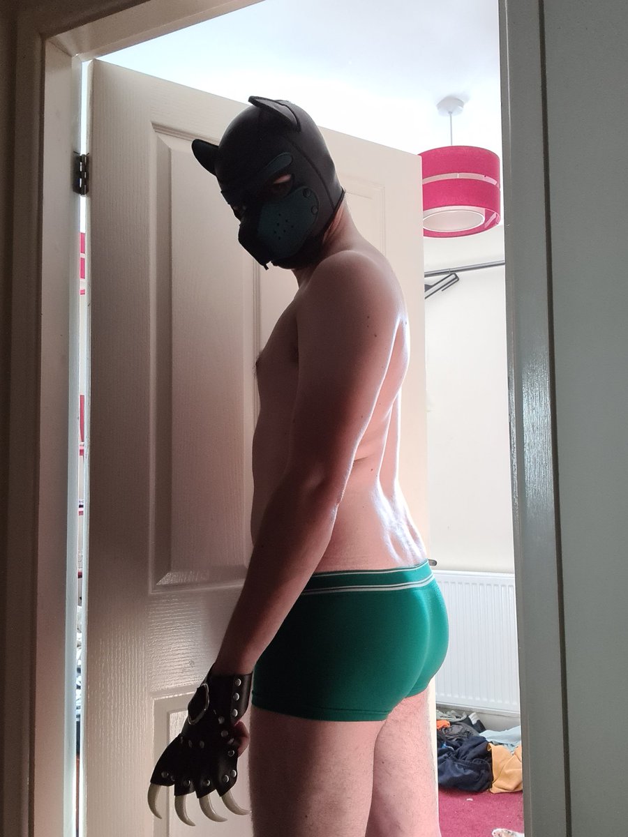 Hyper 🔜 Puppy UK elections tweet media