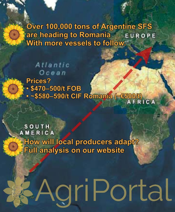 AgriPortalRo's tweet image. 🚢🌻 Over 100,000 tons of Argentine #sunflower are heading to #Romania — with more vessels to follow
Backed by the #Mercosur trade framework, these shipments could reshape pricing dynamics in the #BlackSea region

🔗 Full analysis on our website: agriportal.ro
#Oilseeds