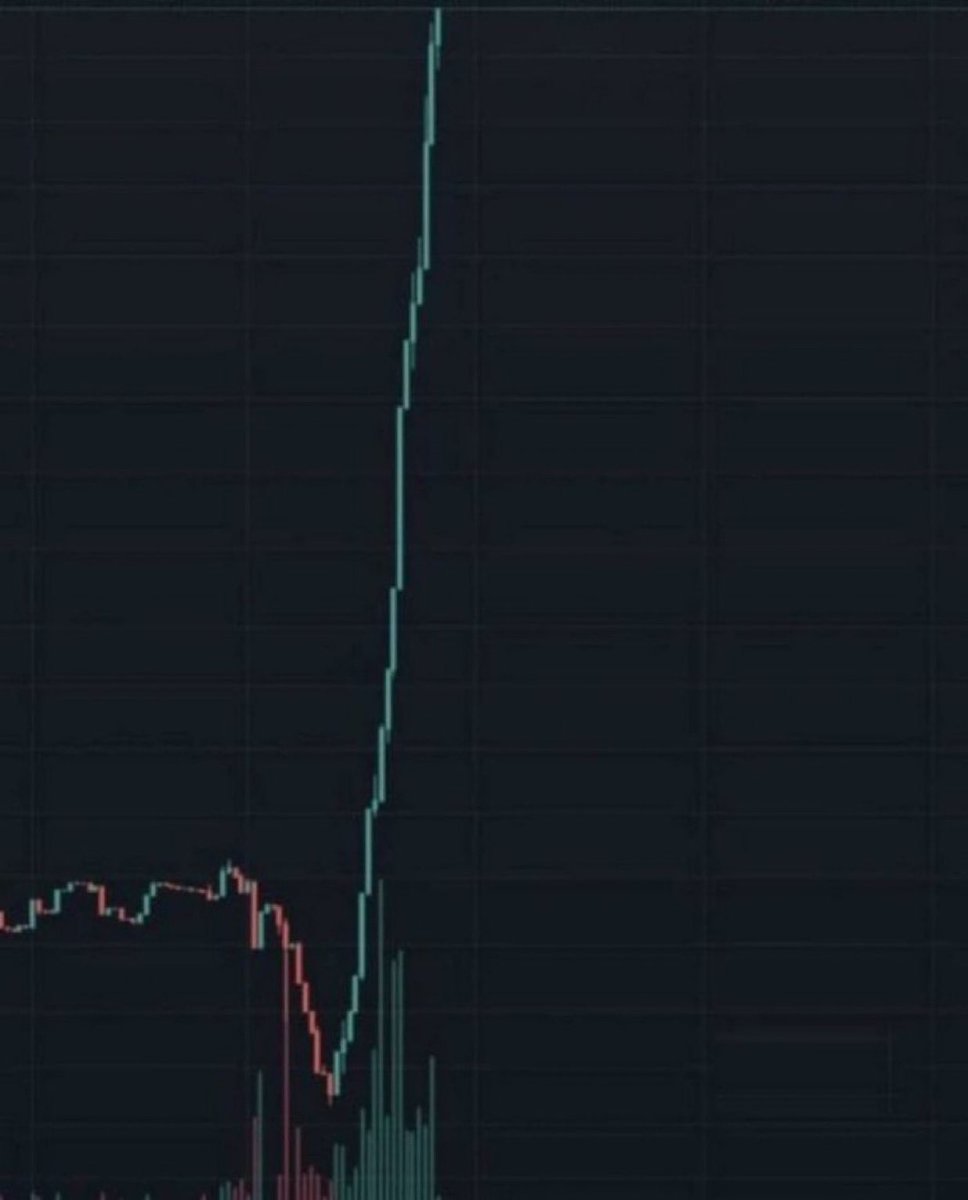 SpeedWgmi's tweet photo. What memecoin will do this? https://t.co/0oNzfiKL00