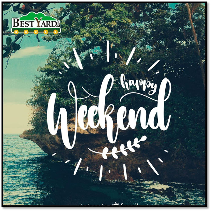 BestYard tweet media