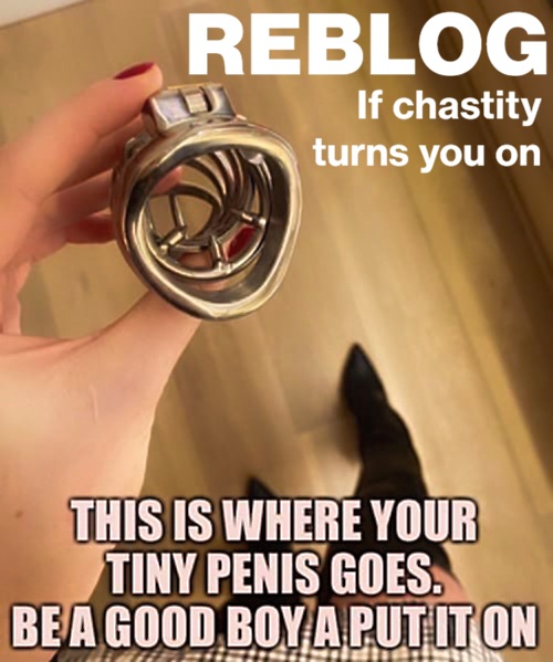 Chastity4u💋 tweet media