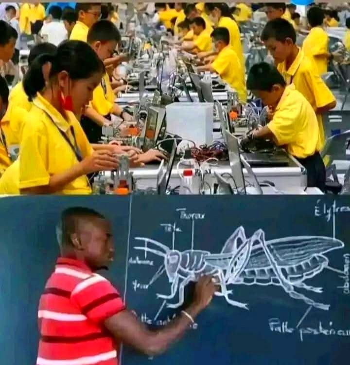 zoomafrika1's tweet photo. Colonial Education in Africa will not Help us. IT'S TIME TO CHANCE ! https://t.co/GohXdpQkIw